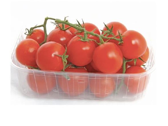 tomate cerise de la Tunisie paquet 250gr