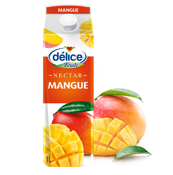 Délice- Jus Mangue 1L