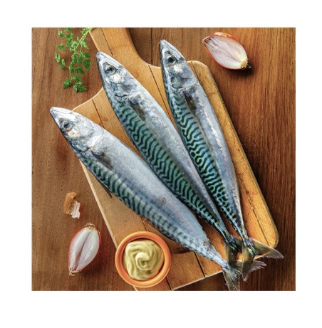 POISSON MAQUEREAU SAUVAGES 6LB