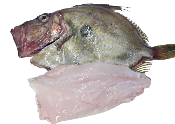 Poisson Saint Pierre-Plat Plat-1kg-poissons sauvages de la Mauritanie