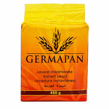 LEVURE INSTANTANEE GERMAPAN 450G