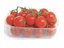 [6191459600027] tomate cerise de la Tunisie paquet 250gr