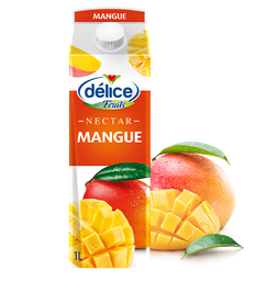 Délice- Jus Mangue 1L