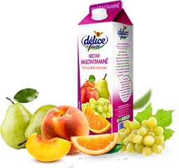 Délice -Jus multivitaminé  1L