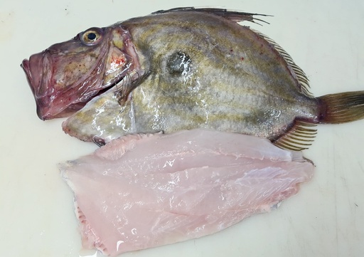 Poisson Saint Pierre-Plat Plat-Carton de 20 kg