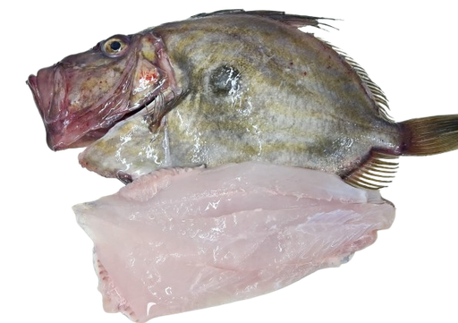 Poisson Saint Pierre-Plat Plat-1kg-poissons sauvages de la Mauritanie