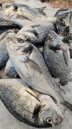 Dorade Royale-Poissons-Boite de 10kg