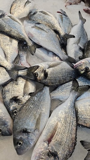 Dorade Royale-Poissons-Boite de 5 kg